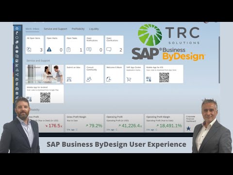 SAP Business ByDesign User Experience