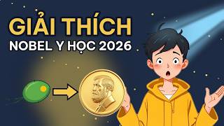 Cách bật tắt não bộ bằng ánh sáng, học từ một con tảo trong vũng nước | Nobel Y học 2026