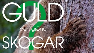 Film: Guld och gröna skogar? 