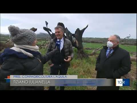 Cuglieri, 2 aprile 2022 TgR Sardegna h 19 35