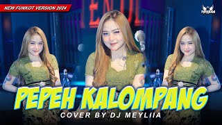 Download lagu FUNKOT - PEPEH KALOMPANG NEW HARD FUNKOT VERSION 2024 BY DJ MEYLIIAA  mp3