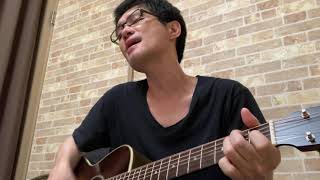 名もなき詩 / Mr.Children   【弾き語りcover】