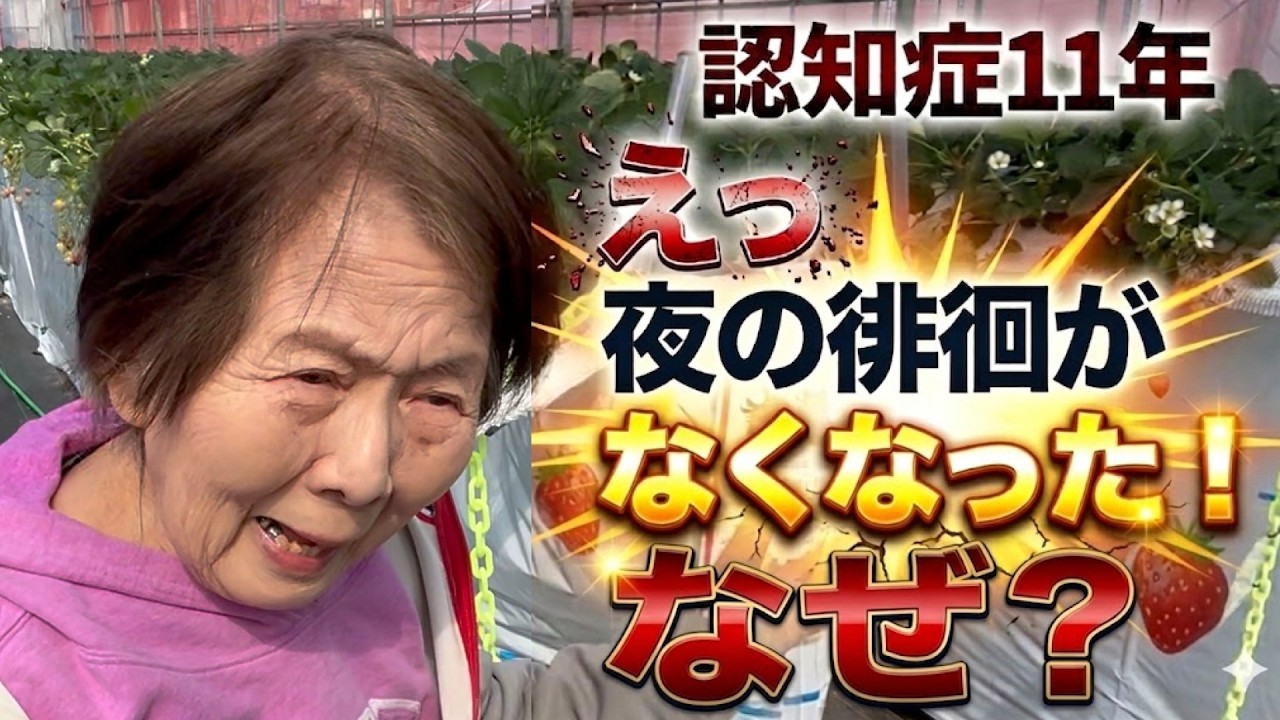 【認知症リアル深夜の鈴の音】認知症なぜ旅行先のホテルで眠れないの？夜の不安と混乱を防ぐ３つの対策／いちご狩りで素敵な出会い！食べたこと忘れた認知症おばあちゃん