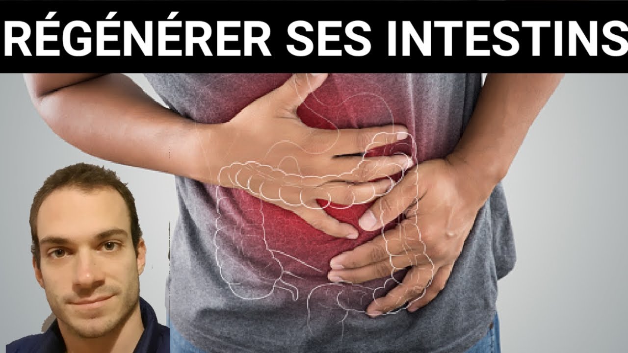 Régénérer ses intestins: toutes les infos !