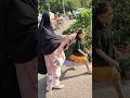 Cute Lovely Pigeons YouTube Shorts Rajghat Delhi Naughty Nooriyah Vlogger