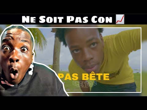 American Reaction To BEENDO Z - NOT STUPID