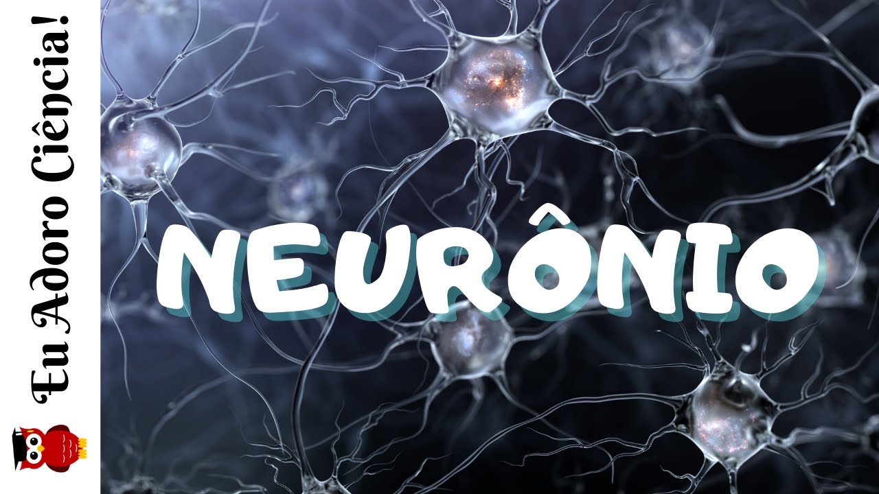 Neurônio, a célula nervosa | Sistema Nervoso
