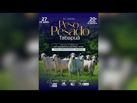 51º LEILÃO PESO PESADO TABAPUÃ