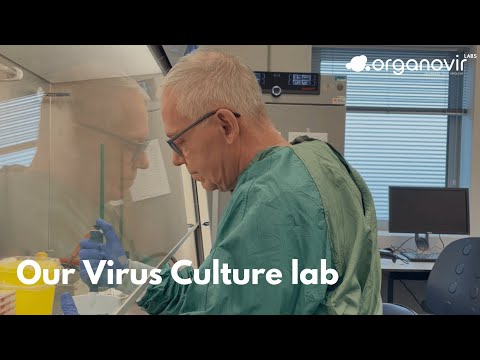 OrganoVIR Labs - Check out our Virus Culture lab!