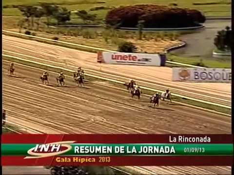 Resumen gala hipica domingo 1 septiembre 2013 LA RINCONADA