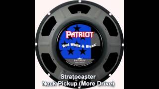 Video thumbnail for Eminence Patriot Speaker vs Eminence Red Coat Tonespotter Speaker by intheblues