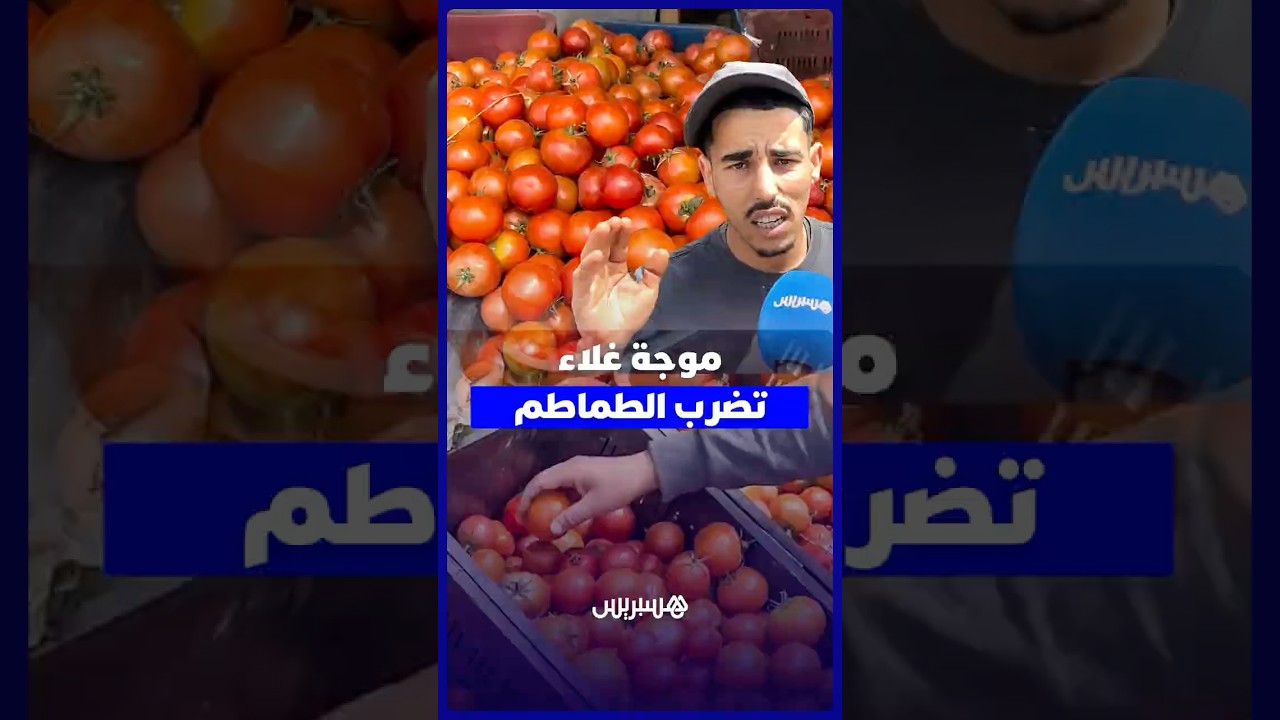 موجة غلاء تضرب الطماطم   ارتفاع السعر إلى 14 درهما يضغط على القدرة الشرائية thumbnail
