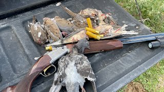 Late Season Texas Dove Hunt