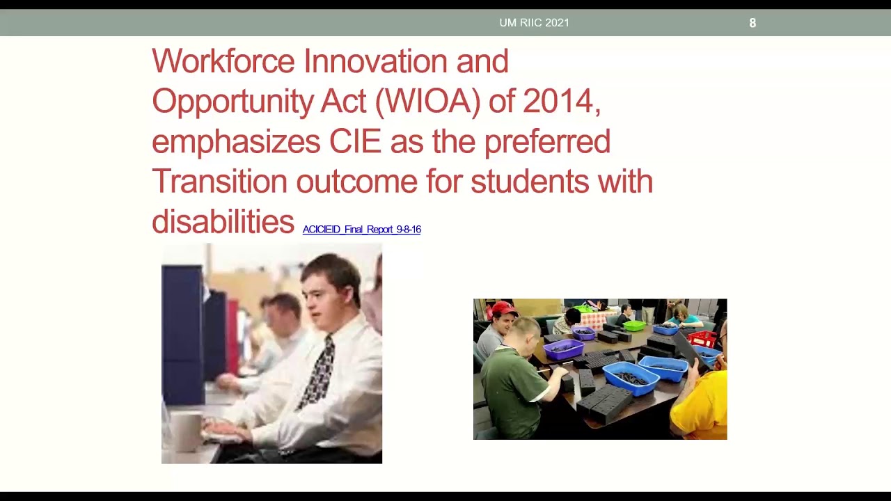 Customized Employment (2021)