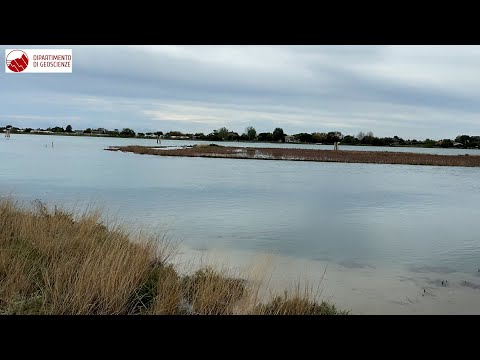 Venice Lagoon. Ecosystem services provided by salt marshes