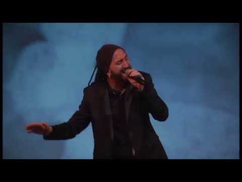 Cavallo Bianco  Sergio Moses