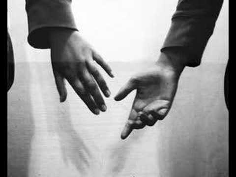 a my - piotr rogucki