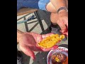 Big Fat Creamy Kina Sea Urchin In New Zealand