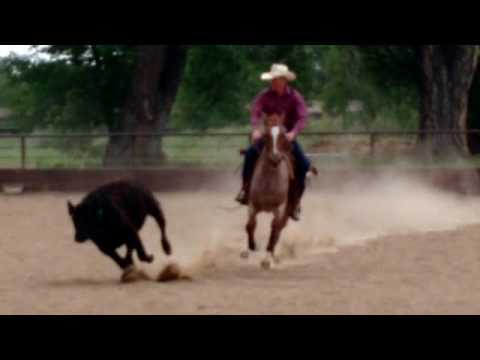 Les Vogt Clinic - Changing Sides and Running Down the Fence