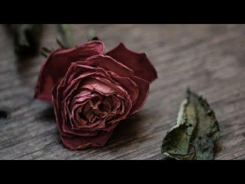 Epi 148-1 God's Incredible Plan