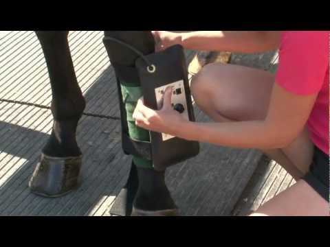 Centurion Mini Pulse