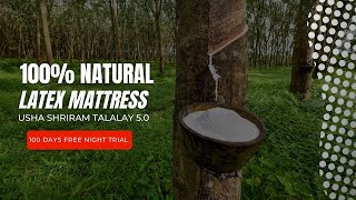 Natural Latex Hygienic Mattress – Usha Mattress