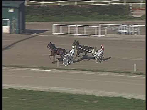 Trotto 26/01/2018 - prova di qualifica