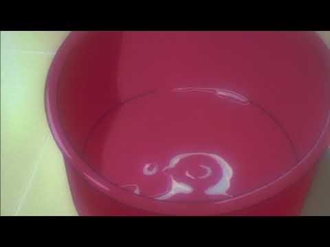 Asuka [Loves] Everyone