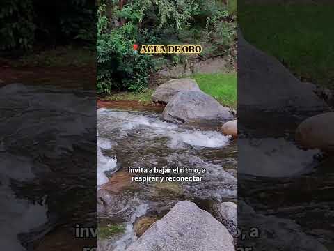Tres escapadas para hacer en micro 🚌