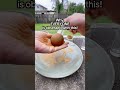 Why EVERYONE’S obsessed with this! #dorodango #mudball #japanesecrafts