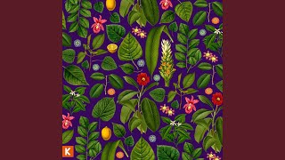 Music video thumbnail preview for Glorious by Kings Kaleidoscope