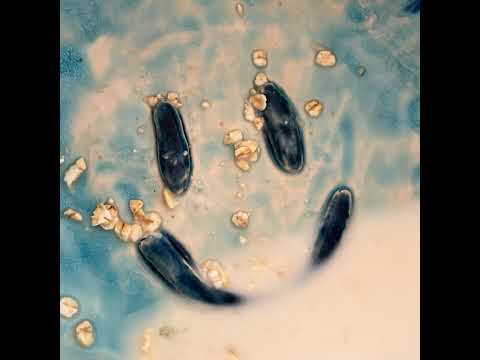 andhim - Dance Again