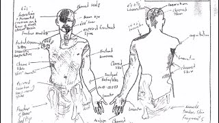 Kobe Bryant Autopsy Report