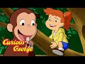 Stuck In A Tree Curious George Kids Cartoon Kids Movies