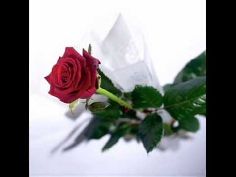 La última rosa (Diablos locos)