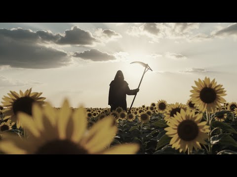 Clan Of Xymox & The Cure - A Day - One Hundred Years (Matt One 2025 mashup)