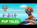 PAW Patrol Pups Save A Baby Dolphin Rescue Episode PAW Patrol Official Friends