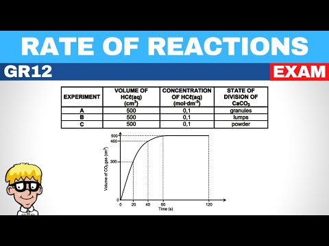 Rate and Extent of Reaction Grade 12 Exam Questions