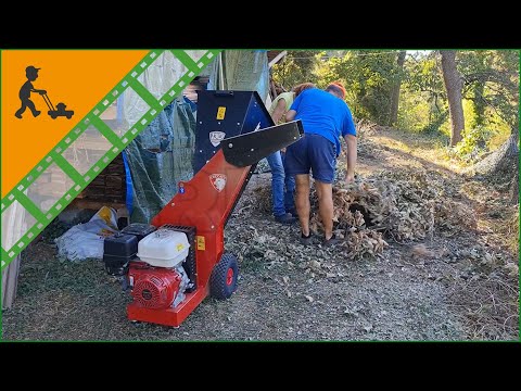 Funktionsvideo Profi Häcksler Schredder Ceccato Tritone Maxi mit Honda-Motor GX 390