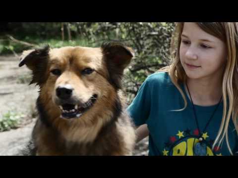 Grateful Dead's 'Brokedown Palace' by the Barton Hills Choir