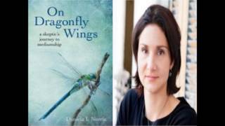 On Dragonfly Wings