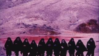 The Legendary Pink Dots - Emblem Parade