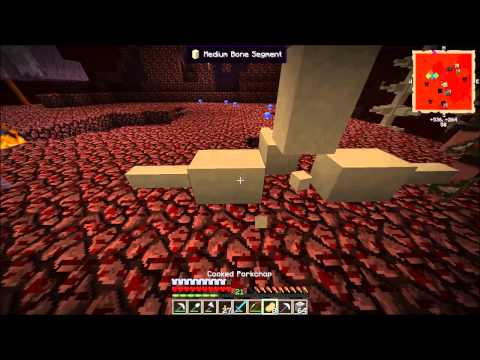 Let's Play FTB Unleashed Ep 6 More Nethering