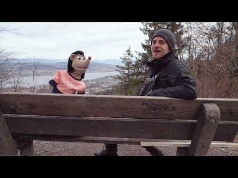 Petrus verleugnet Jesus! 👀