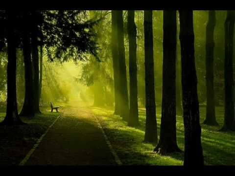 James and Johnson - Against the grain (Original mix)