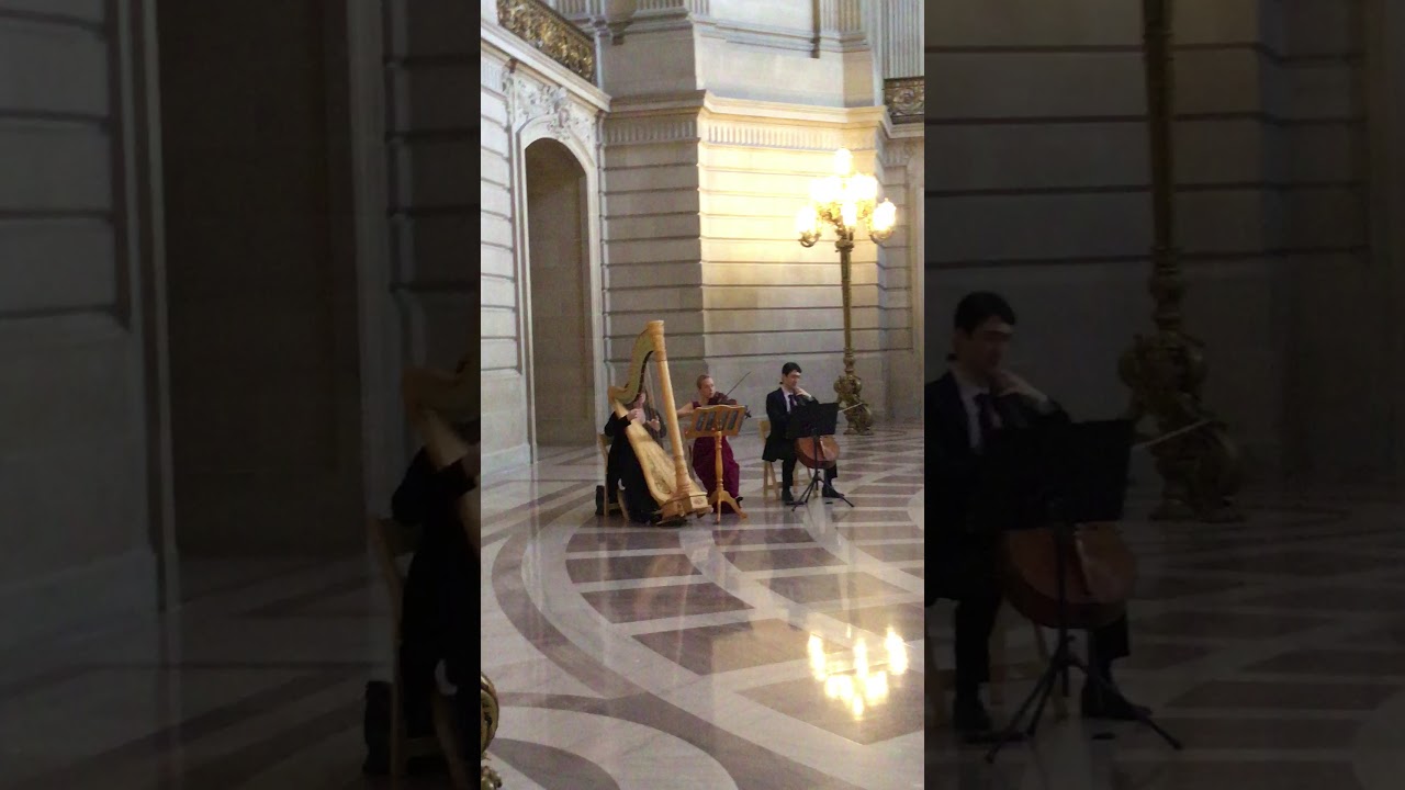 Promotional video thumbnail 1 for Lara Garner, Harpist/Pianist/String Ensemble