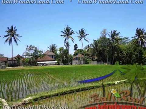Potensial 300 m2 Lahan View sawah di Sentral Ubud TJUB436 Potensial 300 m2 Lahan View sawah di Sentral Ubud TJUB436