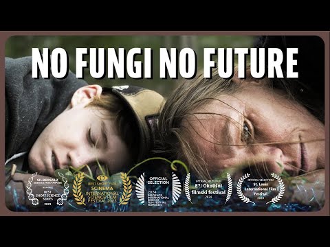 Ammodo Docs and Vrije Universiteit Amsterdam