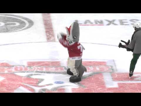 Sharky Dance - Shut it down