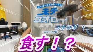 （美味？）part179　コオロギスナック食べてみた！？